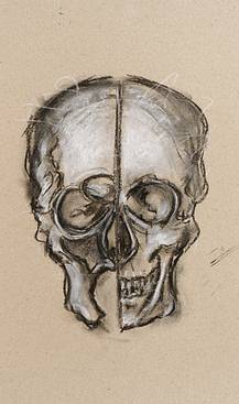 thomas werk skull