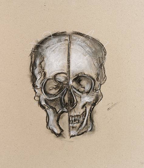 thomas werk skull