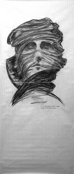 thomas werk vultus